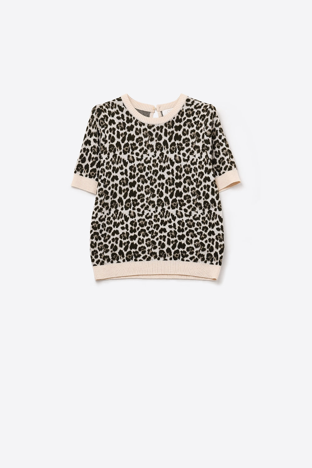 Pull chic à manches courtes imprimé léopard