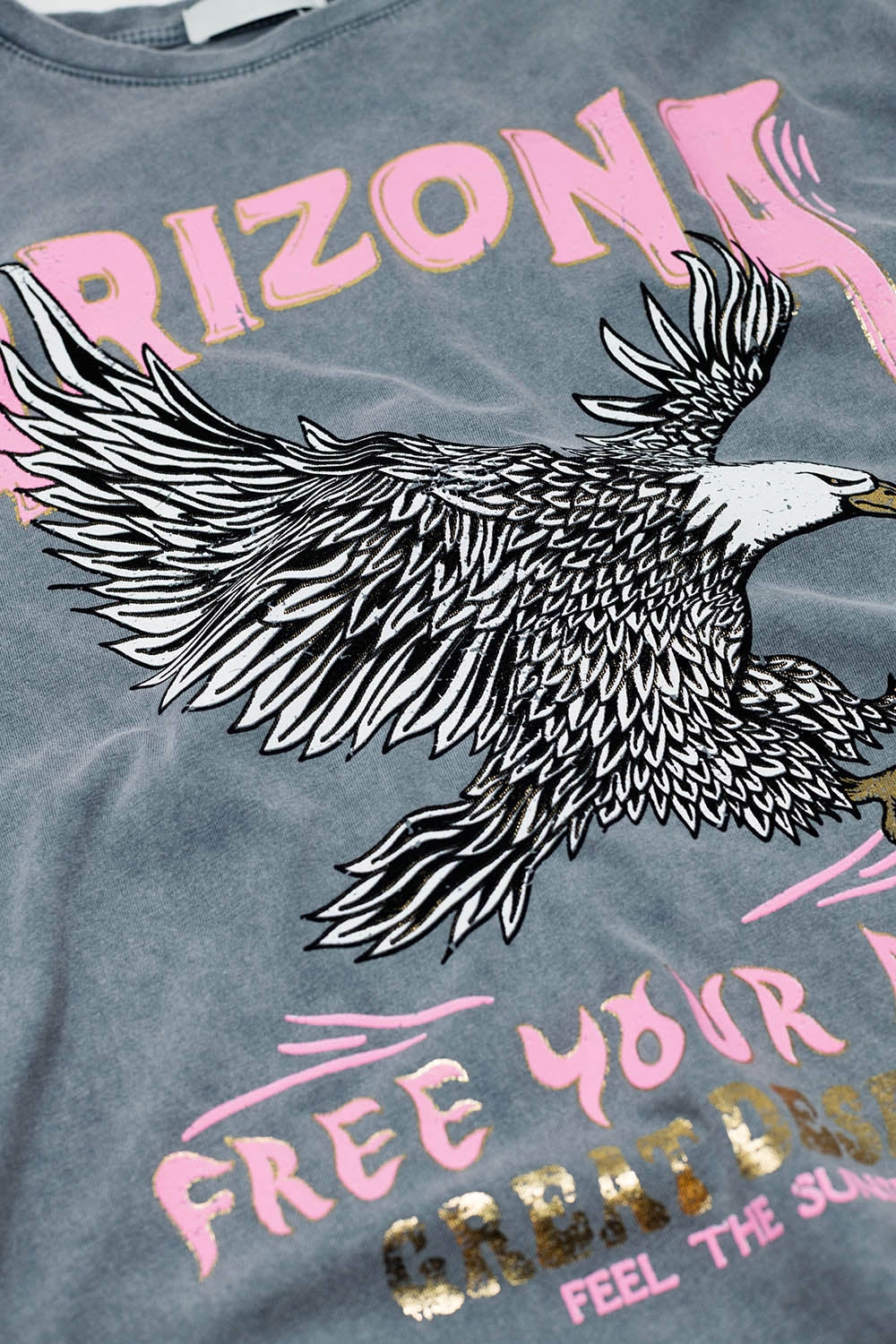 T-shirt Arizona avec impression numérique de l'aigle en gris
