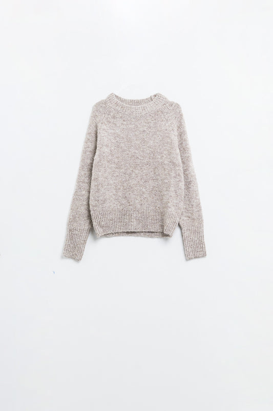 Pull ras du cou en tricot basique de couleur beige
