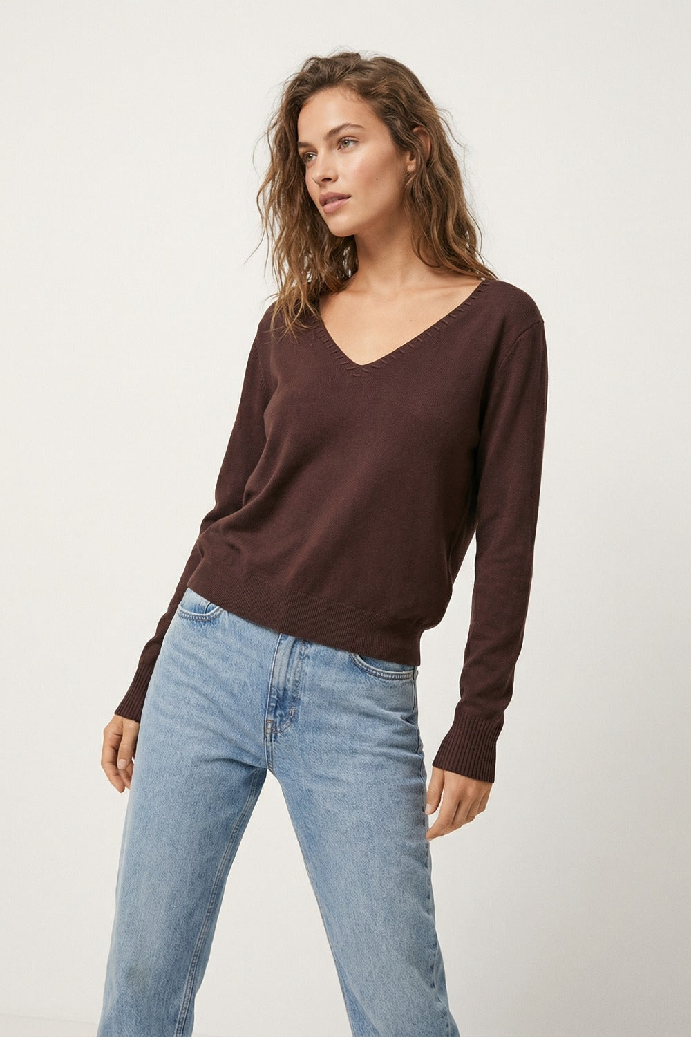 Pull à col en V en tricot fin avec détails décoratifs à l'encolure en couleur marron