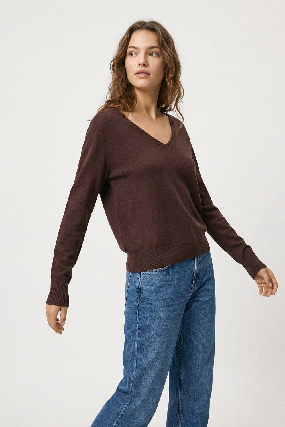 Pull à col en V en tricot fin avec détails décoratifs à l'encolure en couleur marron
